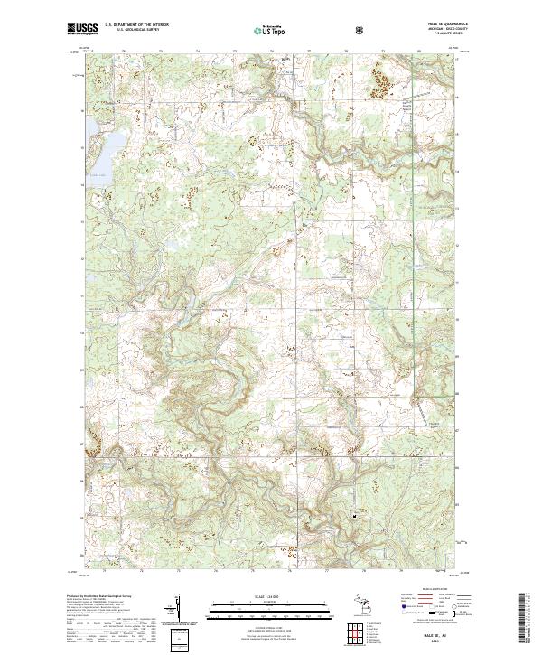 US Topo 7.5-minute map for Hale SE MI
