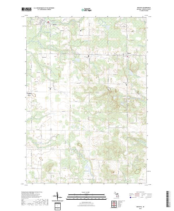 US Topo 7.5-minute map for Mecosta MI