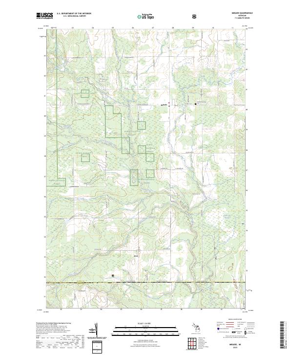 US Topo 7.5-minute map for Mikado MI