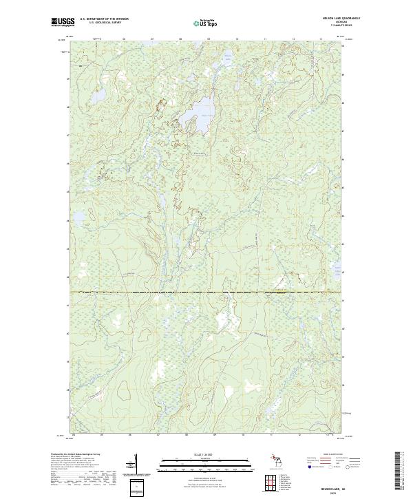 US Topo 7.5-minute map for Nelson Lake MI