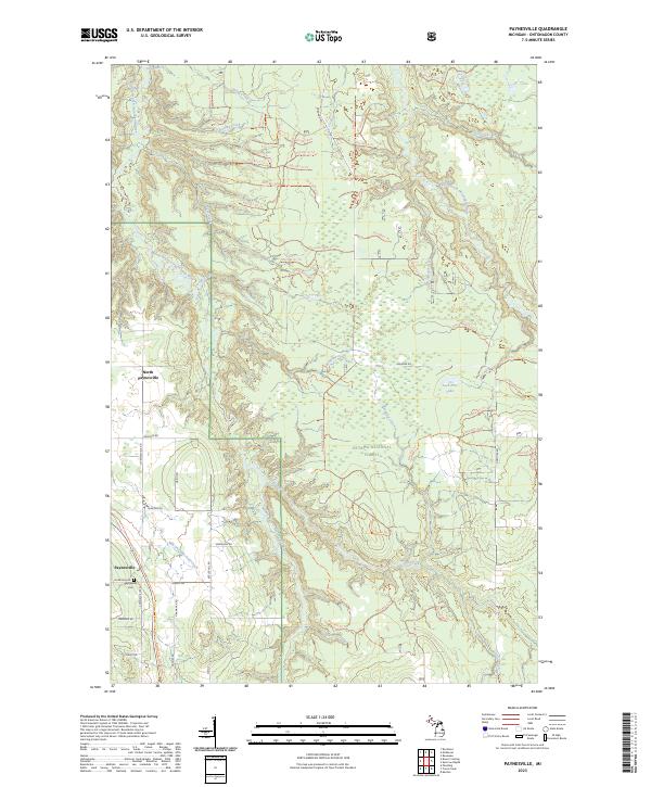 US Topo 7.5-minute map for Paynesville MI