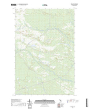 US Topo 7.5-minute map for Roy Lake MI