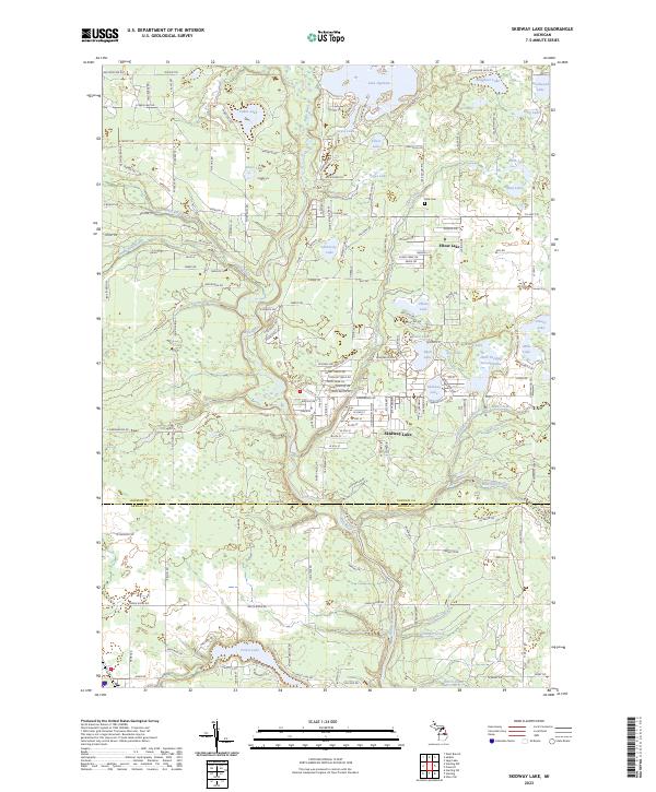 US Topo 7.5-minute map for Skidway Lake MI