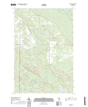 US Topo 7.5-minute map for Stalwart MI