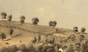 Bird's Eye View of Jefferson City, Missouri 1869