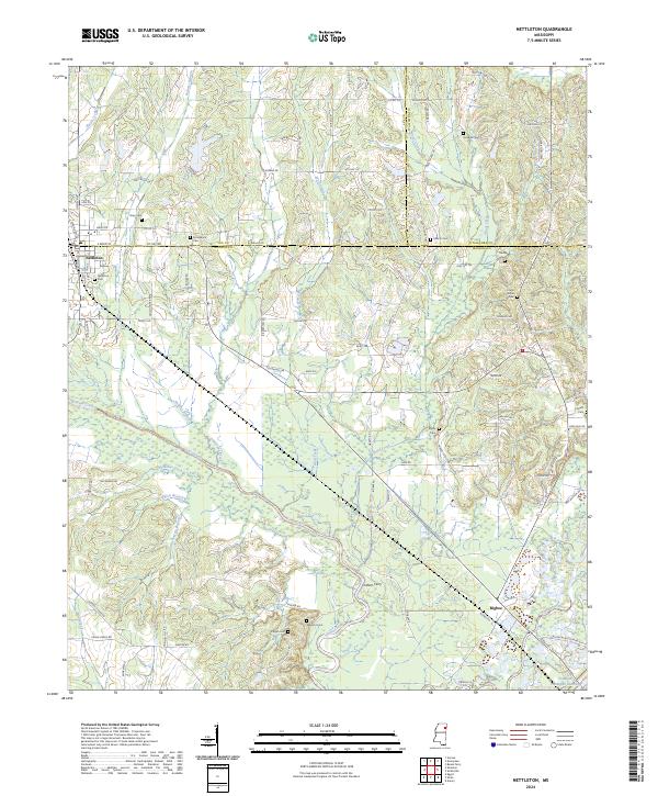 US Topo 7.5-minute map for Nettleton MS