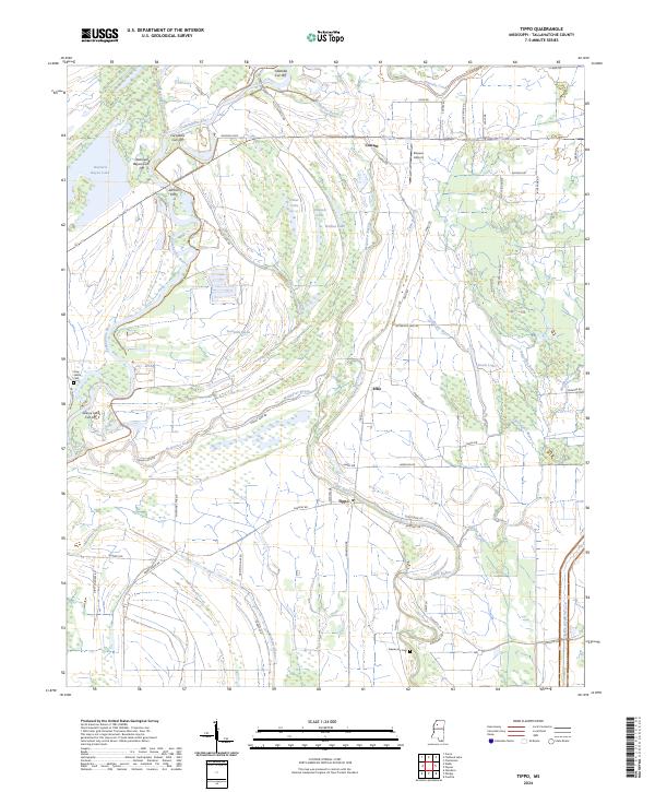 US Topo 7.5-minute map for Tippo MS
