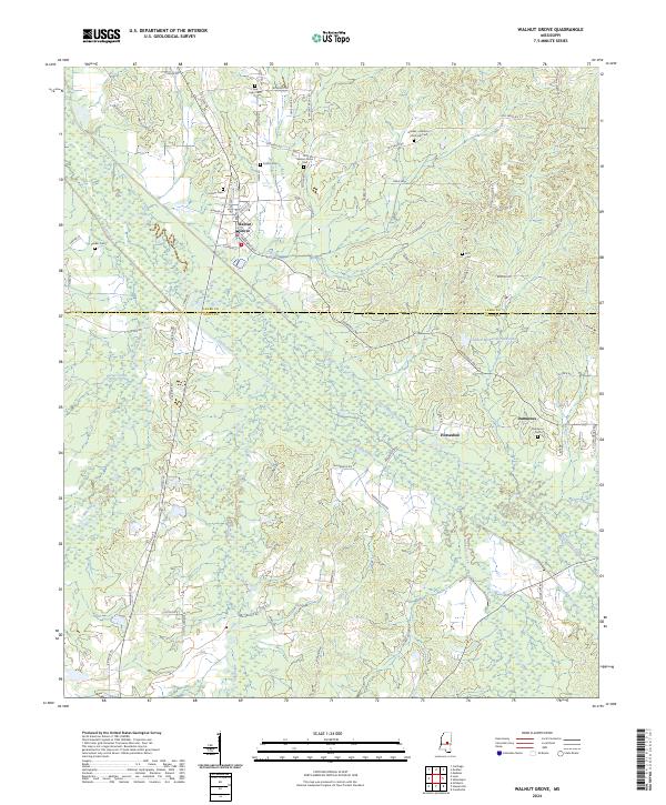 US Topo 7.5-minute map for Walnut Grove MS