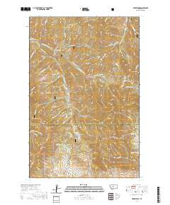 USGS US Topo 7.5-minute map for Arrow Peak MT 2020