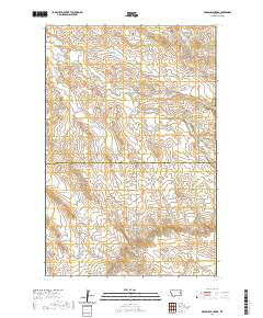 USGS US Topo 7.5-minute map for Bearshack Creek MT 2020