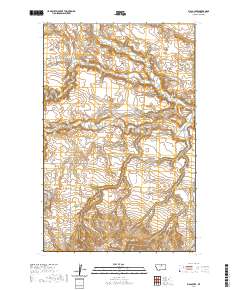 USGS US Topo 7.5-minute map for Big Coulee MT 2020