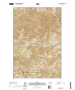 USGS US Topo 7.5-minute map for Big John Butte MT 2020
