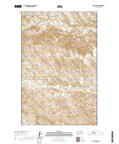 USGS US Topo 7.5-minute map for Billick Coulee MT 2020