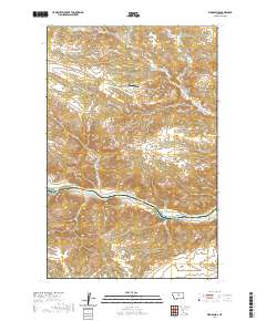 USGS US Topo 7.5-minute map for Bird Rapids MT 2020