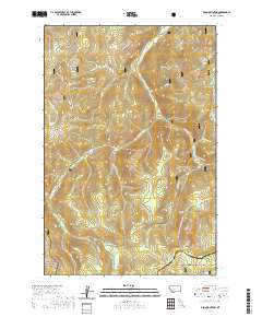 USGS US Topo 7.5-minute map for Bison Mountain MT 2020