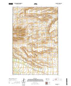 USGS US Topo 7.5-minute map for Blackleaf MT 2020