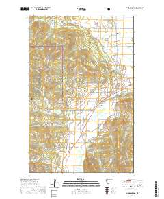 USGS US Topo 7.5-minute map for Blue Grass Ridge MT 2020