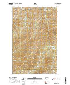 USGS US Topo 7.5-minute map for Bowery Peak MT 2020