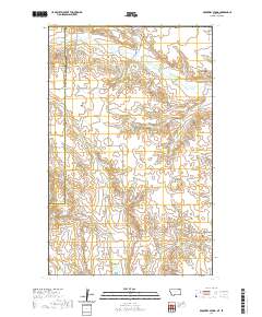 USGS US Topo 7.5-minute map for Brockway Spring MTSK 2020