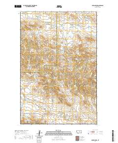 USGS US Topo 7.5-minute map for Brown Spring MT 2020