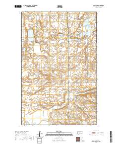 USGS US Topo 7.5-minute map for Brush Lake MTND 2020