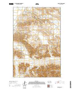 USGS US Topo 7.5-minute map for Buckley Lake MT 2020