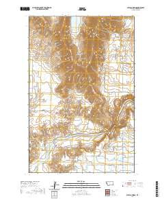 USGS US Topo 7.5-minute map for Buffalo Bridge MT 2020
