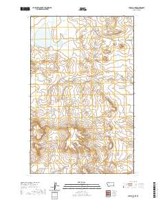 USGS US Topo 7.5-minute map for Buffalo Lake MT 2020