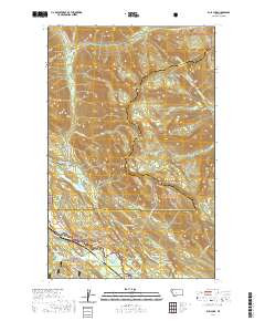 USGS US Topo 7.5-minute map for Bull Lake MT 2020