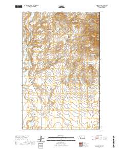 USGS US Topo 7.5-minute map for Cameron Lake MT 2020