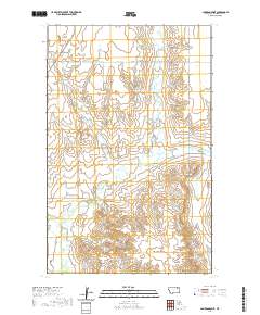 USGS US Topo 7.5-minute map for Cameron Point MT 2020
