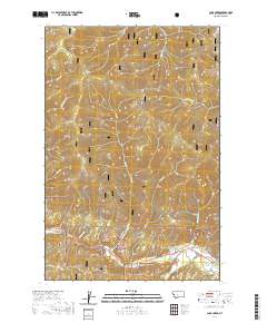USGS US Topo 7.5-minute map for Camp Creek MT 2020