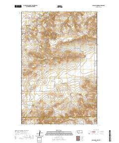 USGS US Topo 7.5-minute map for Carlson Coulee MT 2020
