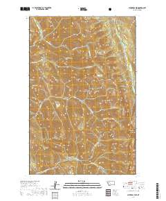 USGS US Topo 7.5-minute map for Cathedral Peak MT 2020