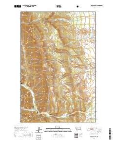 USGS US Topo 7.5-minute map for Cave Mountain MT 2020