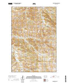 USGS US Topo 7.5-minute map for Chandler Spring MT 2020