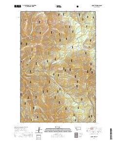 USGS US Topo 7.5-minute map for Coney Peak MT 2020