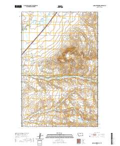 USGS US Topo 7.5-minute map for Cowan Reservoir MT 2020
