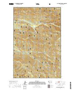 USGS US Topo 7.5-minute map for Cripple Horse Mountain MT 2020