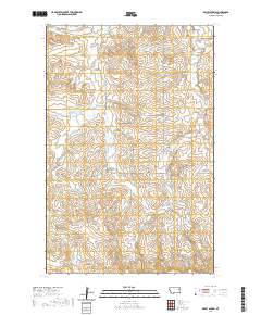 USGS US Topo 7.5-minute map for Dailey Spring MT 2020