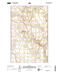 USGS US Topo 7.5-minute map for Dead Indian Spring MT 2020