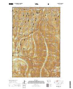 USGS US Topo 7.5-minute map for Dick Creek MTID 2020