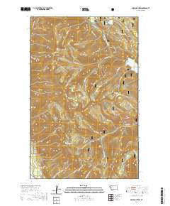 USGS US Topo 7.5-minute map for Doris Mountain MT 2020