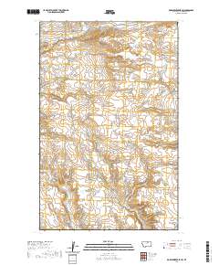 USGS US Topo 7.5-minute map for Down Reservoir SW MT 2020