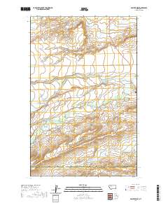 USGS US Topo 7.5-minute map for Dupuyer West MT 2020