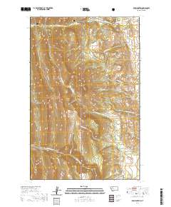 USGS US Topo 7.5-minute map for Ear Mountain MT 2020