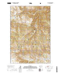 USGS US Topo 7.5-minute map for Ellis Canyon MT 2020