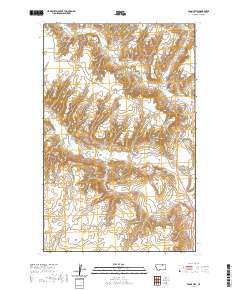 USGS US Topo 7.5-minute map for Fanny Hill MT 2020