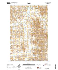 USGS US Topo 7.5-minute map for Fig Mountain MT 2020