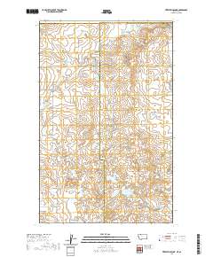 USGS US Topo 7.5-minute map for Fitzpatrick Lake MTAB 2020